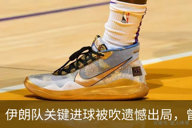伊朗队关键进球被吹遗憾出局，曾任教哈佛大学的伊朗学者向FIFA索赔10亿美元
