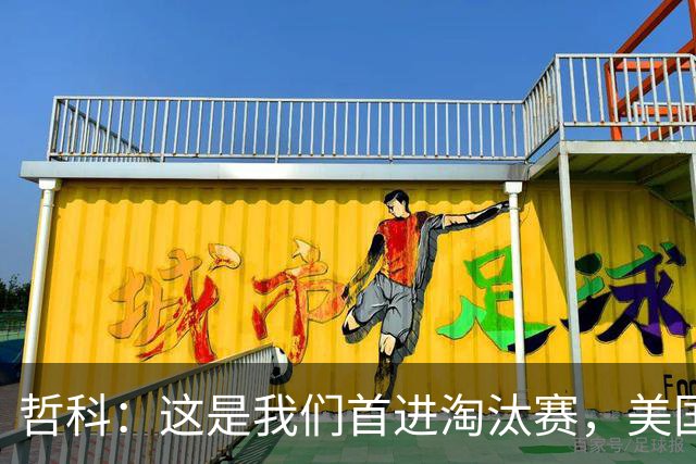 哲科：这是我们首进淘汰赛，美国是东道主但波黑走到这绝非偶然